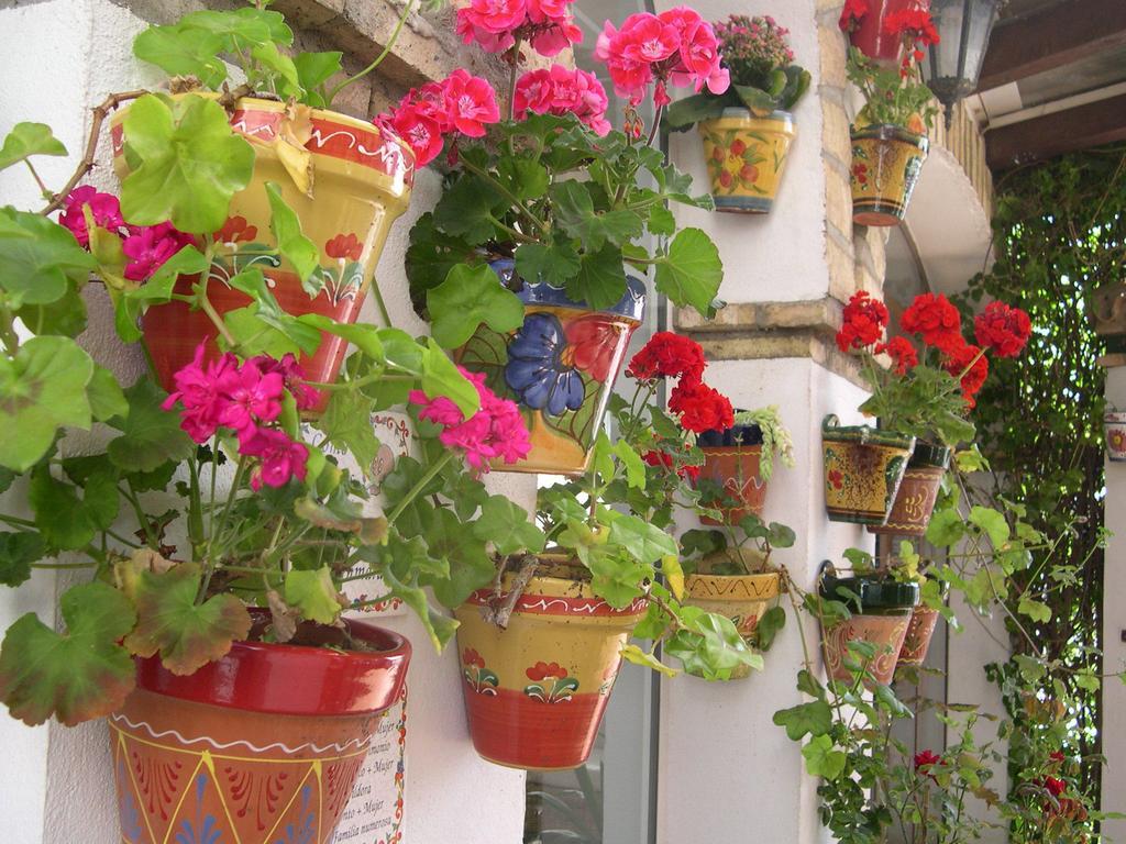 Hotel Cortijo Los Gallos Chiclana de la Frontera Eksteriør billede