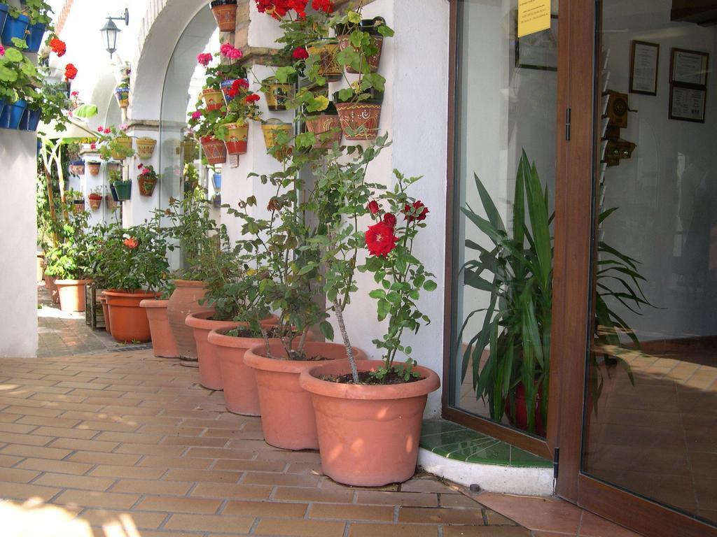 Hotel Cortijo Los Gallos Chiclana de la Frontera Eksteriør billede